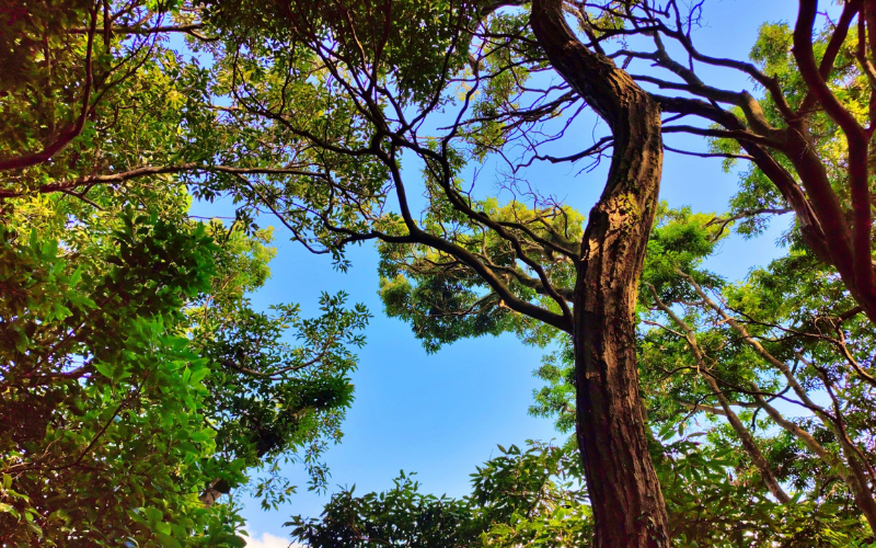 暮らしの安全を守る事業